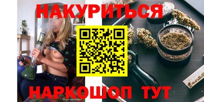 гашик Будённовск