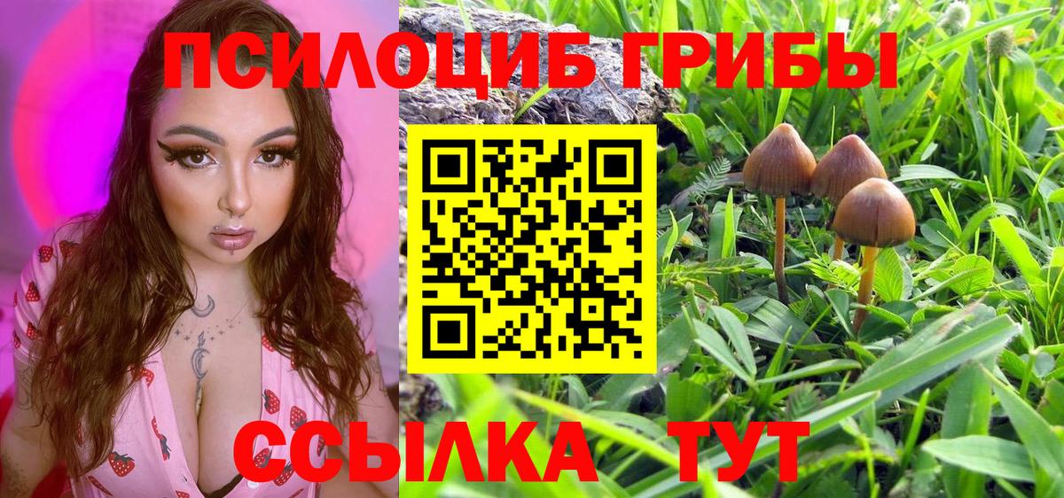 Псилоцибиновые грибы мицелий  Вход с VPN  Тамбов 